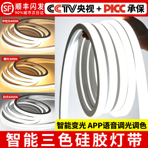 智能三色硅胶线形灯带220v24v