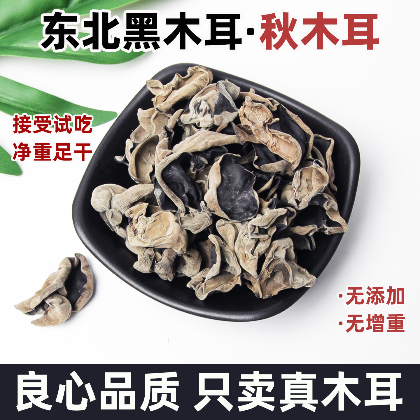 精选东北黑木耳干货长白山特产大朵椴木秋耳商用级无根高泡发500g