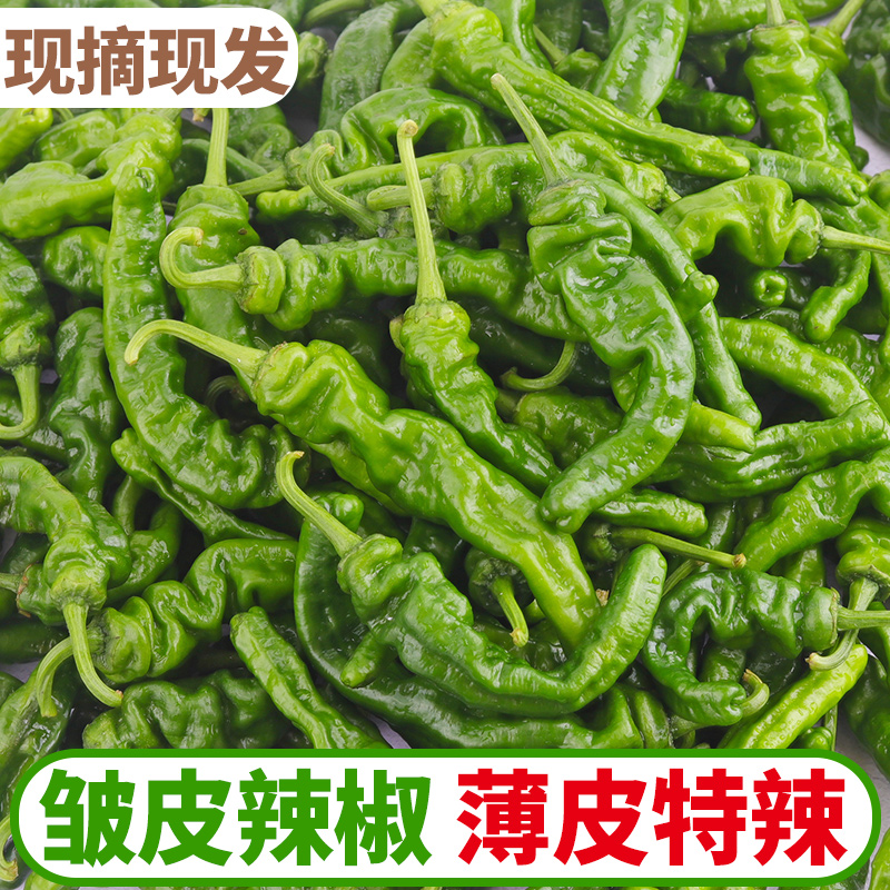 薄皮螺丝椒5斤小皱皮土辣椒特辣