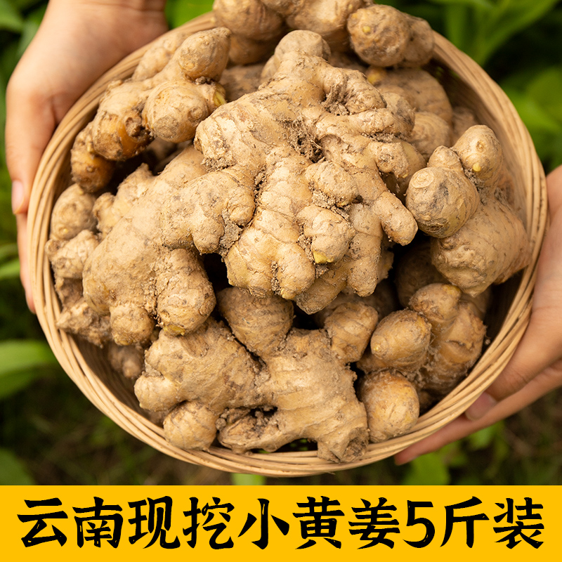 生姜新鲜5斤农家现挖新姜云南罗平小黄姜沙姜老姜嫩子姜蔬菜包邮
