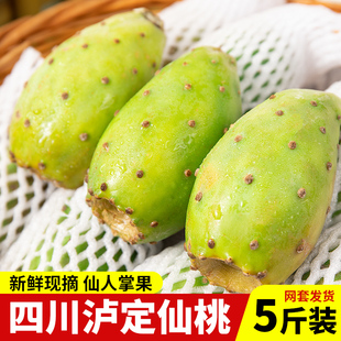 四川仙人掌果白心仙桃新鲜水果实时令不常见稀奇古怪泡水食用5斤