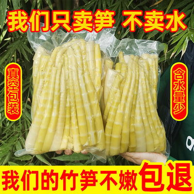 四川新鲜去壳批发竹笋