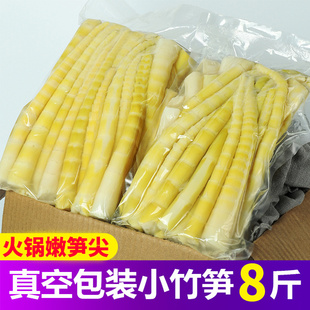 四川小竹笋新鲜春笋子商用餐饮火锅嫩笋尖袋装罗汉笋清水笋方竹笋