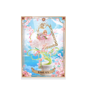 LYB适用乐高保时捷911布加迪兰博基尼法拉利赛车透明亚克力展示盒