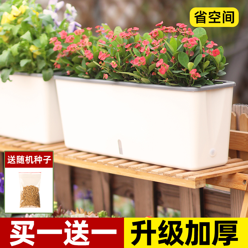 种菜神器家庭阳台种菜盆楼顶专用