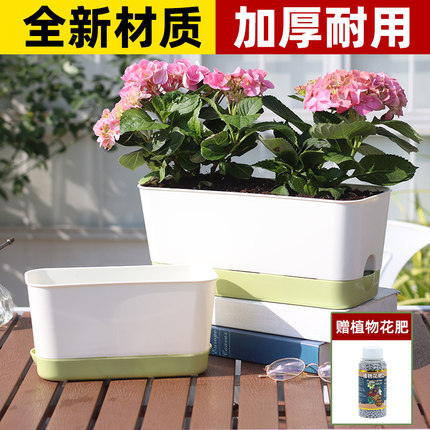 长方形塑料花盆自吸水霍伦盆窄长窗台种菜种植箱多肉神器草莓盆栽