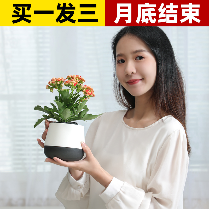 花盆家用加厚树脂客厅桌面