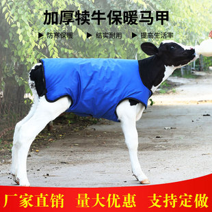牛犊马甲小牛加厚防寒马甲牛犊子保暖防水棉衣养牛场犊牛保温衣服