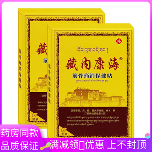 藏内康海筋骨痛消保健贴6贴/盒用于颈肩腰腿肩周骨关节痛消保健贴