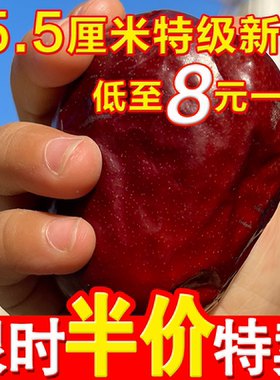 新疆和田大枣特级枣王红枣官方旗舰店正宗免洗一级吊干枣子干货玉