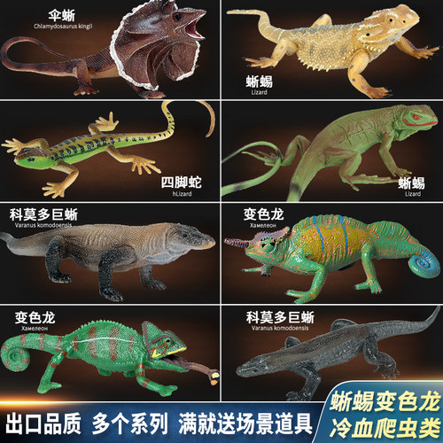 oenux变色龙蜥蜴避役仿真动物