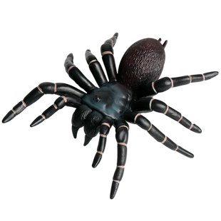 儿童仿真昆虫玩具动物模型蜜蜂蝴蝶蜘蛛蜻蜓蜥蜴蝎子蚱蜢蚂蚁摆件