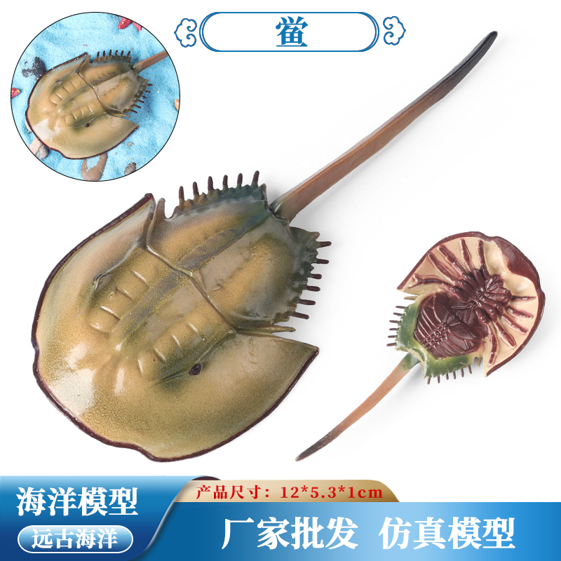 仿真海洋生物模型玩具