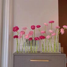 新款一排试管花瓶鲜花摆件高颜值透明家居玻璃网红折叠ins水培