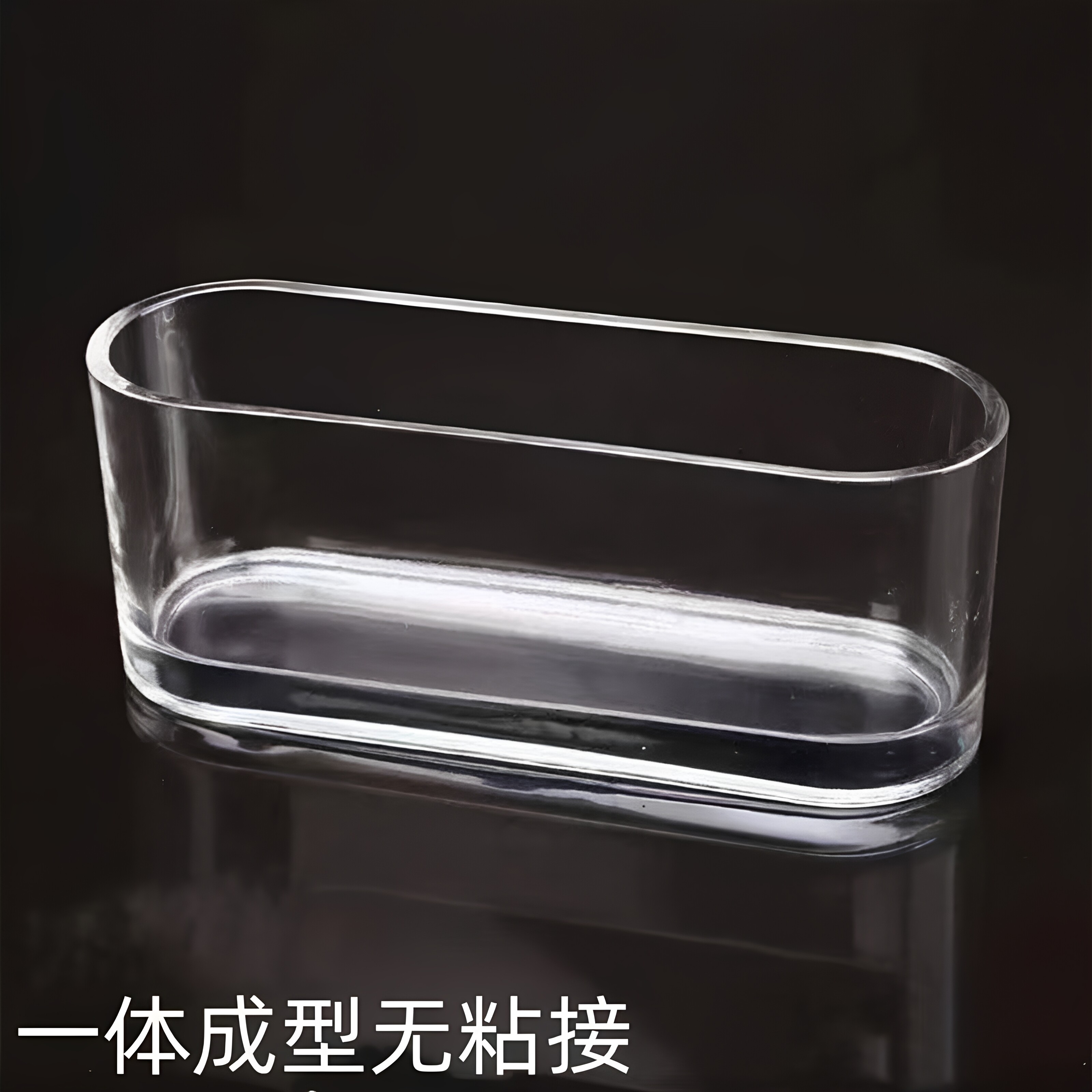 家用绿箩水仙铜钱透明长方形花盆