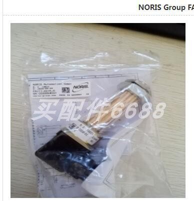 WOERNER KFA-A/G/260 液位温度开关