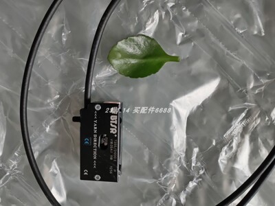 BTSRTS55/D1000E传感器