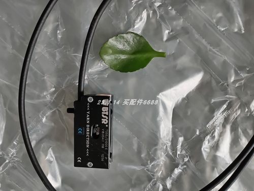 意大利BTSRTS55/D1000E传感器