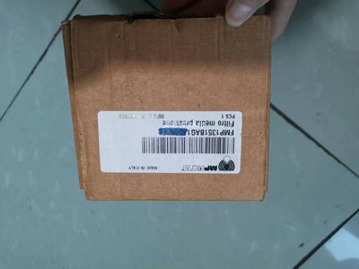 PROSENSE PTD25-10-1000H 1/4 NPT