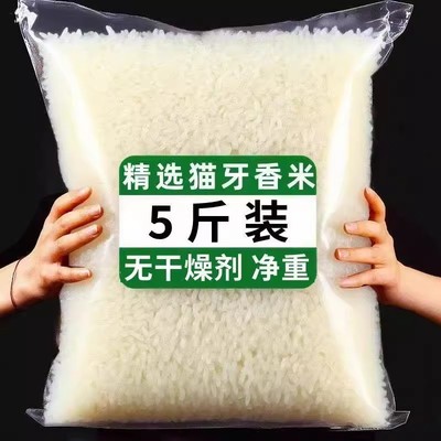 【特价】新米猫牙米长粒香米正宗长款细长米猫牙优质煲仔饭批发