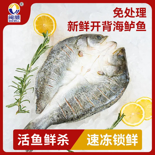 闽威鲈鱼开背新鲜冷冻免处理