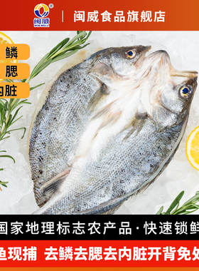 闽威新鲜大号海鲈鱼冷冻海鲜三去烤鱼半成品开背鲈鱼批发商用冰冻