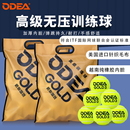 ODEA欧帝尔网球GOLD3专业无压训练球成年初学练习球高弹耐打