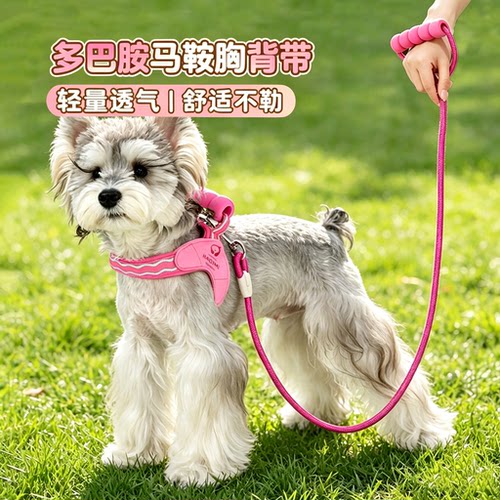 Y型透气中小型犬胸背牵引绳