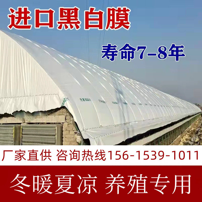 pe养殖大棚膜黑白膜隔热反光保温