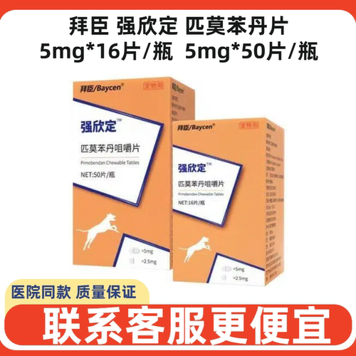 拜臣强欣定匹莫苯丹片犬猫心脏