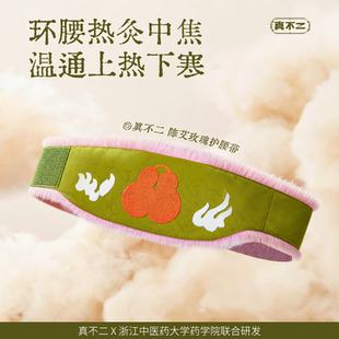真不二陈艾玫瑰护腰带艾灸理疗袋自动控温Z 达人推荐