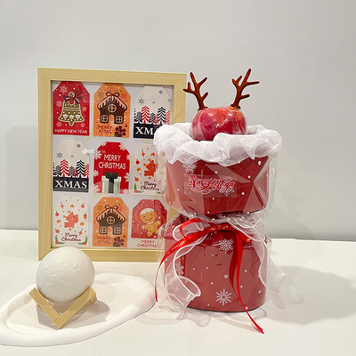 圣诞节平安果苹果花束diy半成品