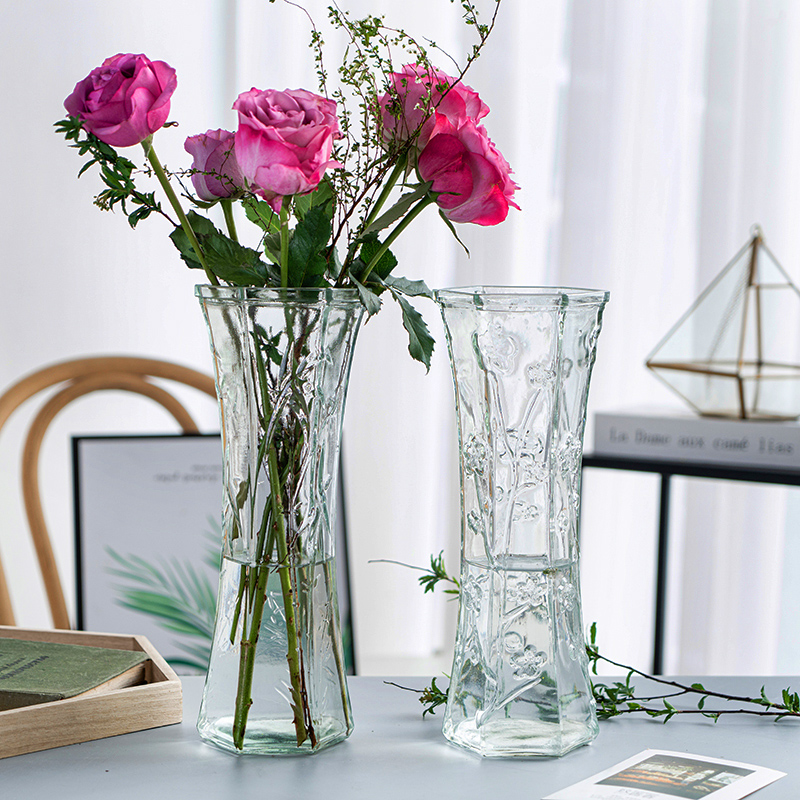 北欧特大号透明玻璃家用水养花瓶 掌柜力荐 厂家直销薄利多销 崇卉景之硕专卖店 淘优券
