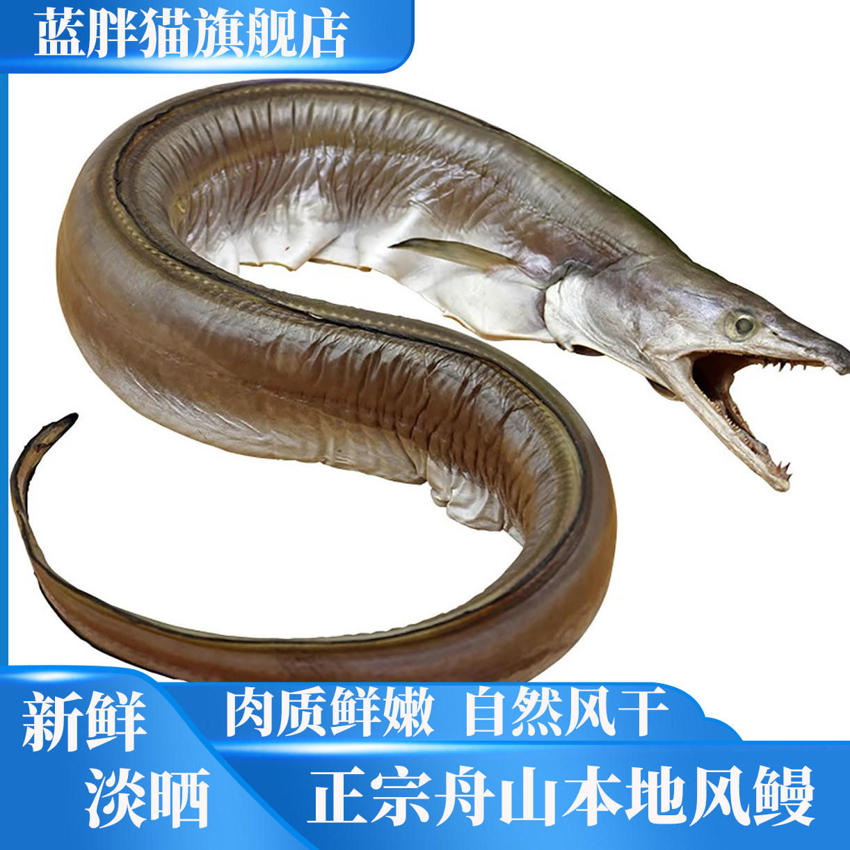 舟山本地风鳗鱼微咸风鳗筒新晒鳗鱼干鳗鲞咸鱼干宁波特产海鲜干货