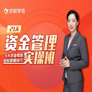 21天资金管理实操视频企业财务资金集中化管理经营投资现金流课程