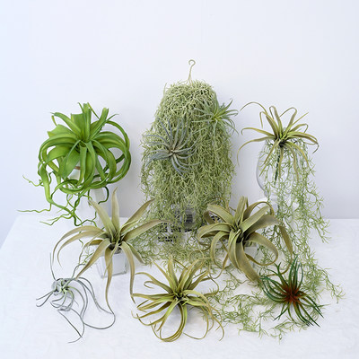 仿真空气草植物沙漠绿植造景