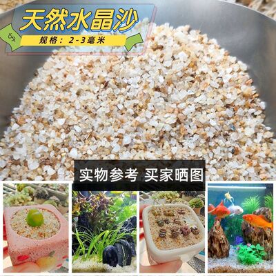 天然水晶砂鱼缸底沙多肉铺面