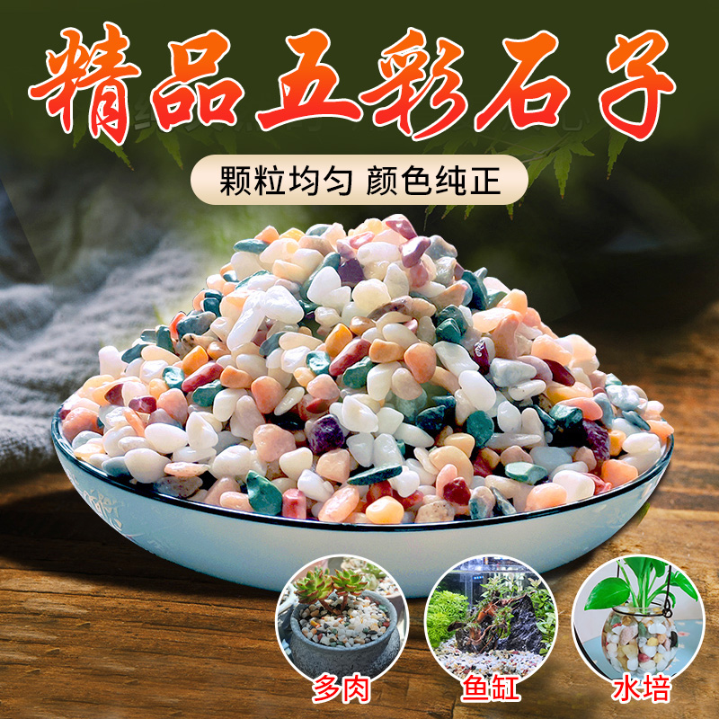 鱼缸底砂造景天然雨花石易清洗