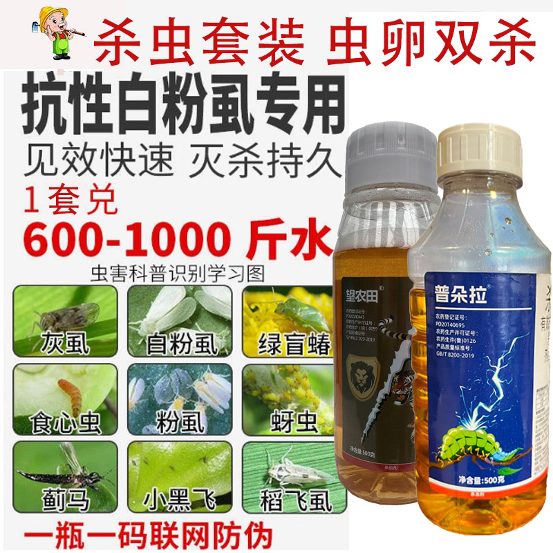 农药店白粉虱专用药联菊啶叮虫脒杀虫双瓜果树杀虫剂农用打蚜虫