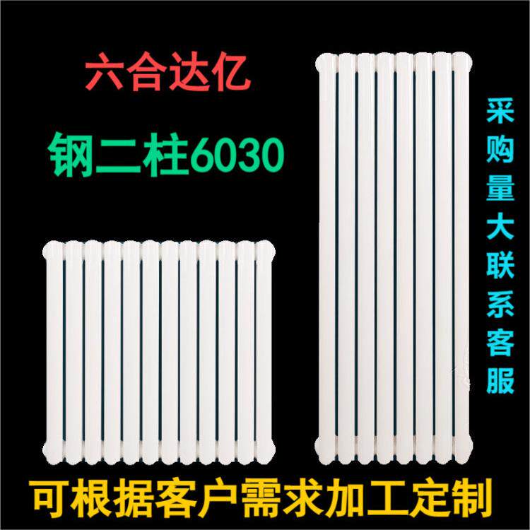 天津六合达亿暖气片6030钢二柱钢制散热器双水道农村家用工程