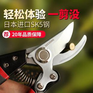 果树枝嫁接专用园艺剪刀修枝剪强力弹簧园艺园林家用盆景剪SK5钢