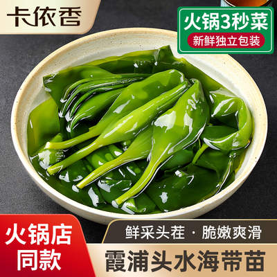 霞浦头水海带苗鲜嫩脆爽火锅食材