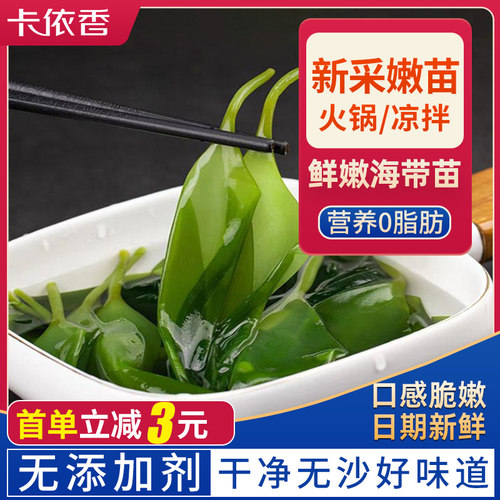 海带苗无沙免洗火锅凉拌菜