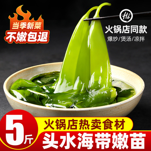 霞浦盐渍海带苗嫩特产级火锅凉拌食材新鲜海带嫩苗批发商用旗舰店