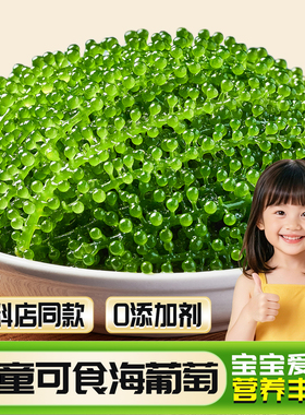 儿童即食海葡萄官方旗舰店盐渍海葡萄火锅食材商用批发绿色鱼子酱