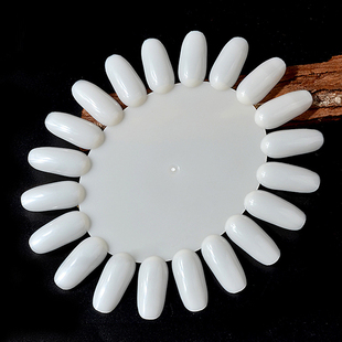 美甲空色板展示板色卡试色新手学员练习甲片画花指甲工具用品涂色