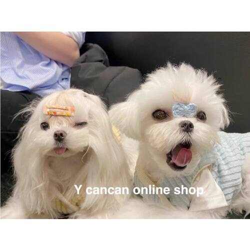 ins狗狗衣服春季薄款宠物