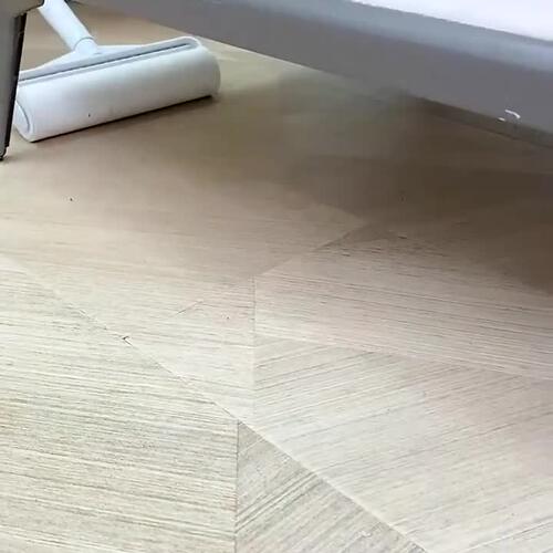 粘毛器可撕式除尘滚筒猫