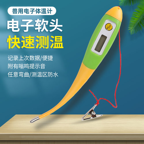 电子体温计动物养殖猪