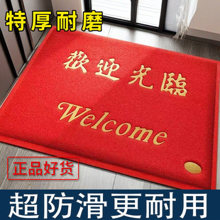 地垫进门脚垫入户门口垫PVC丝圈地毯欢迎光临出入平安防滑垫定制